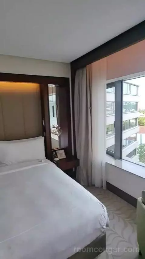 Deluxe King Room bed picture #6