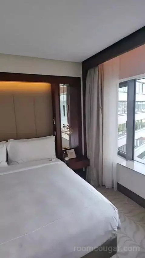 Deluxe King Room bed picture #9
