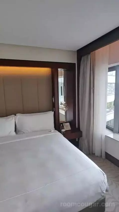 Deluxe King Room bed picture #10