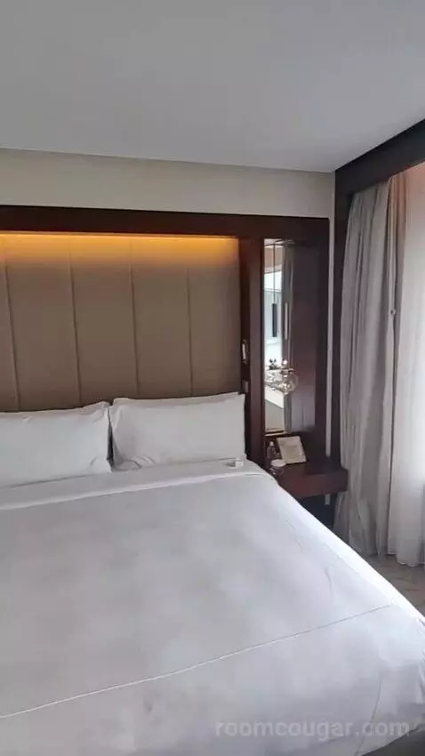 Deluxe King Room bed picture #12
