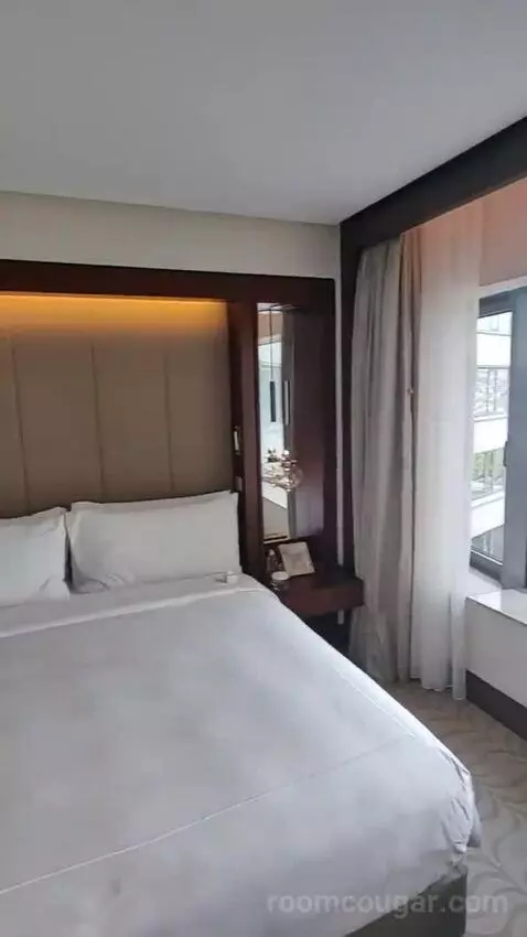 Deluxe King Room picture #24