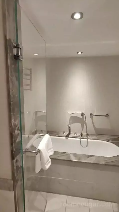 Deluxe King Room bathroom picture #3