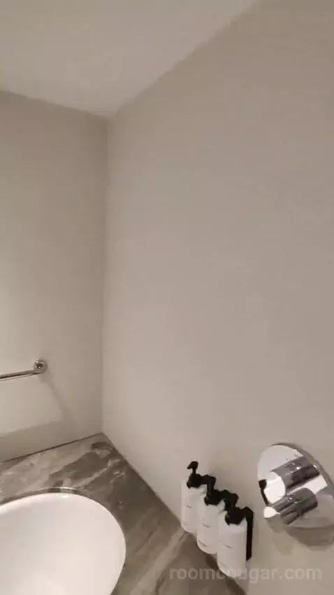 Deluxe King Room bathroom picture #5