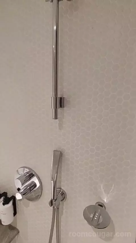 Deluxe King Room bathroom picture #6