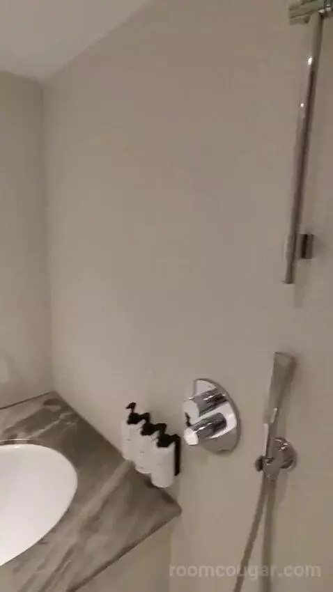 Deluxe King Room bathroom picture #7