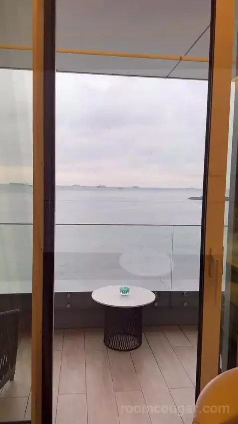 Standard view picture #1