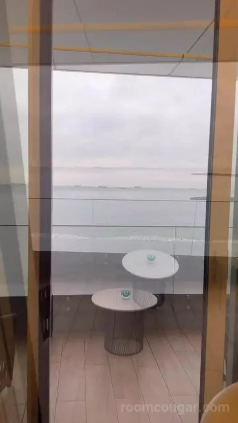 Standard view picture #2