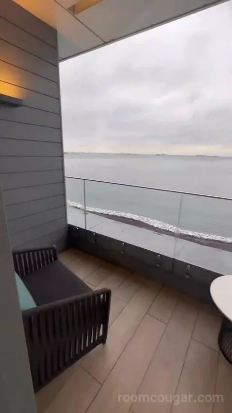 Standard view picture #3