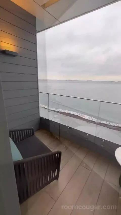 Standard view picture #4