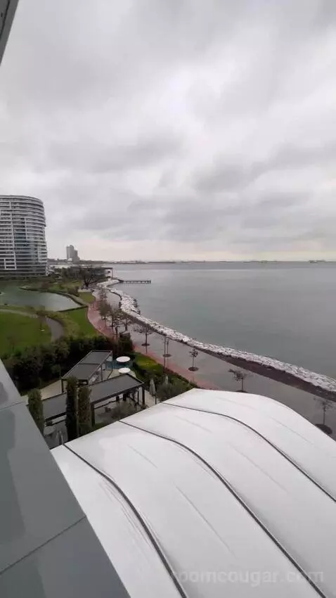 Standard view picture #7