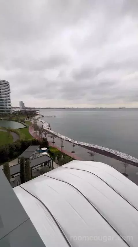 Standard view picture #8