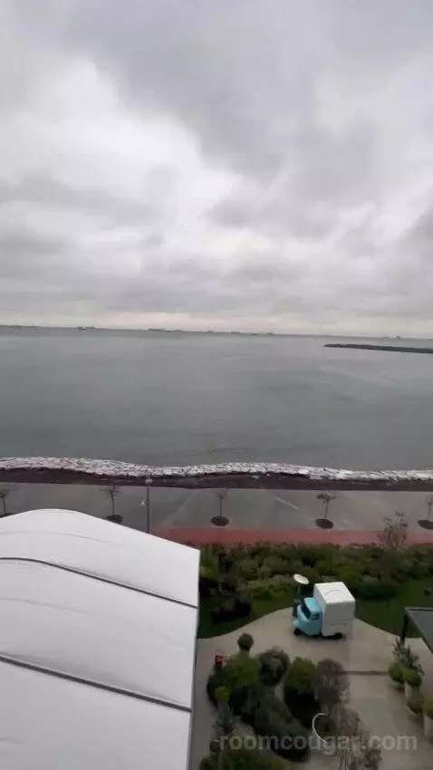 Standard view picture #9