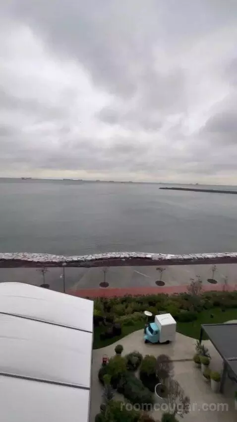 Standard view picture #10