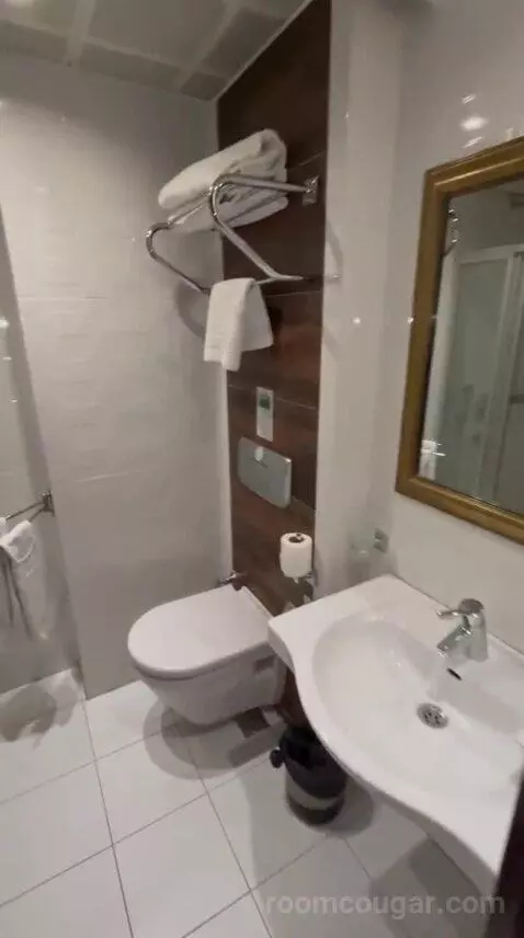 Standard Double Room bathroom picture #3