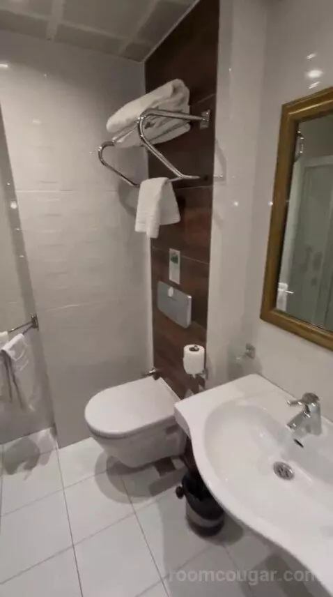 Standard Double Room bathroom picture #4