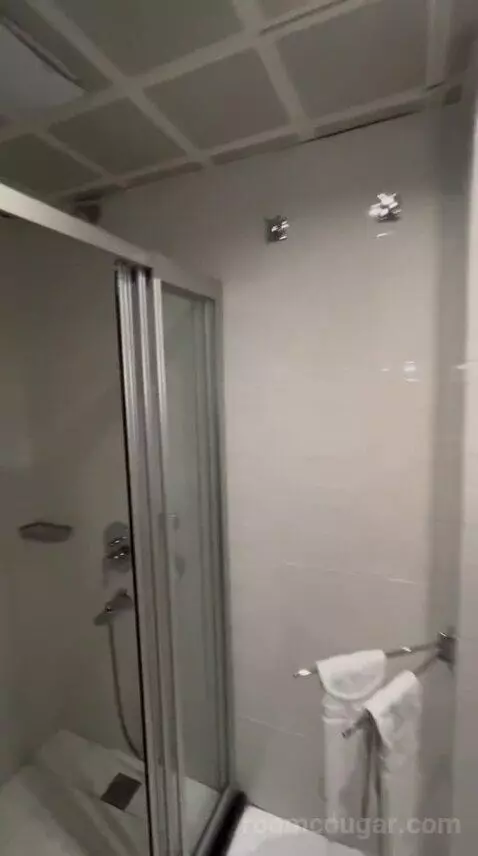 Standard Double Room bathroom picture #7