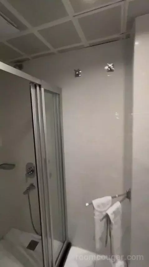 Standard Double Room bathroom picture #8