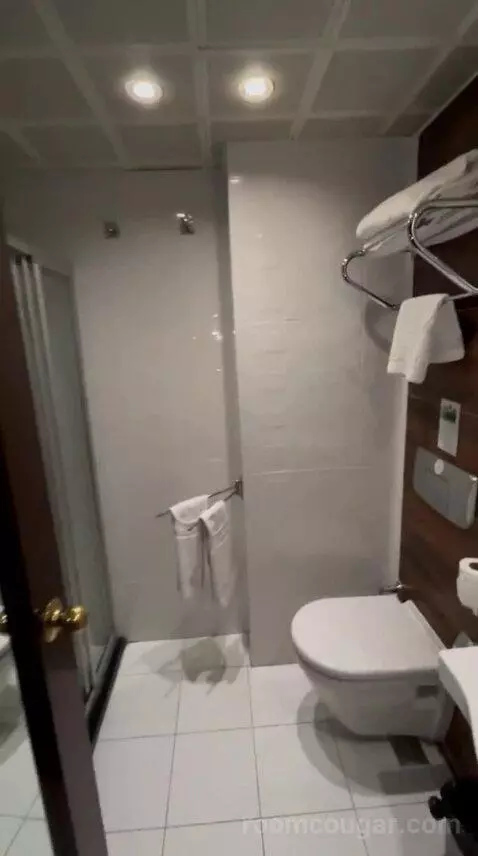 Standard Double Room bathroom picture #9