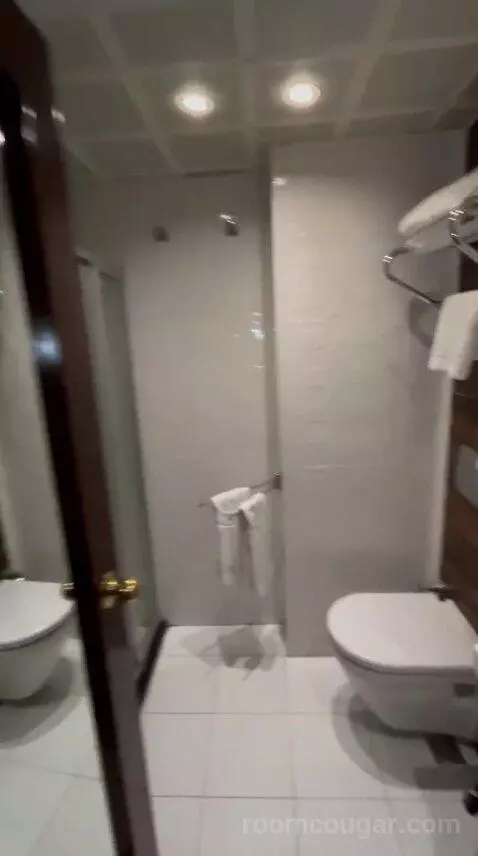 Standard Double Room bathroom picture #10