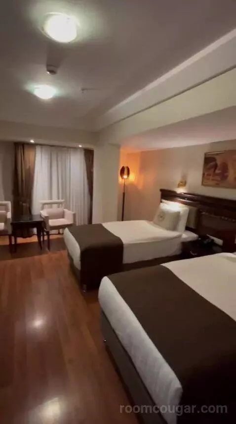 Standard Double Room bed picture #10