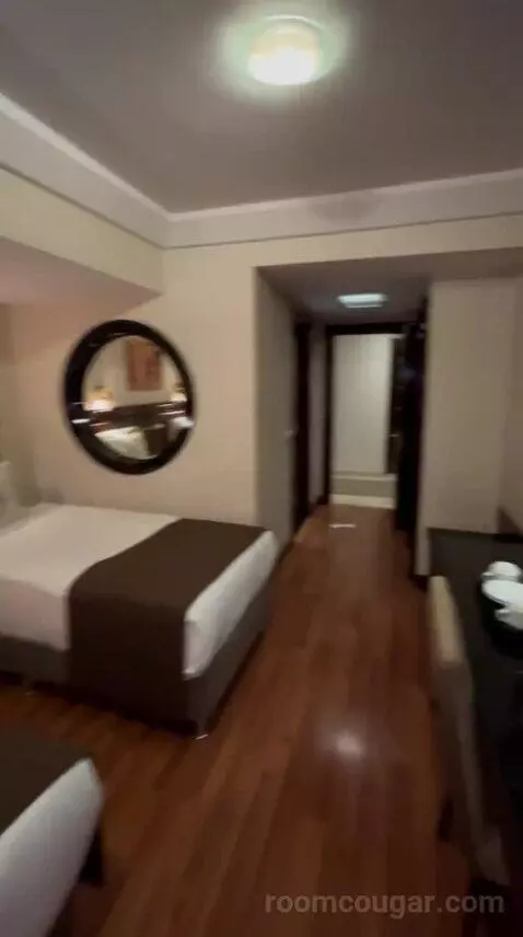 Standard Double Room bed picture #3