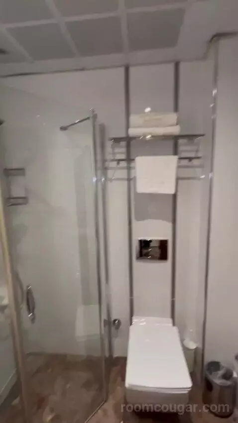 Standard Double or Twin Room bathroom picture #3