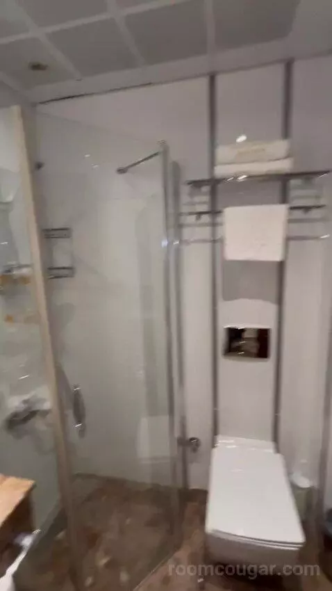 Standard Double or Twin Room bathroom picture #4