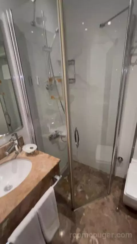 Standard Double or Twin Room bathroom picture #6