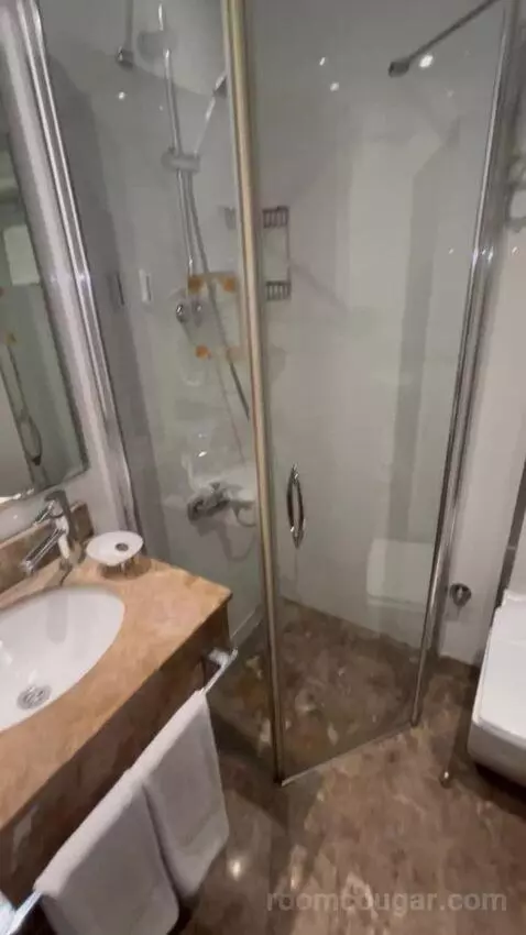Standard Double or Twin Room bathroom picture #7