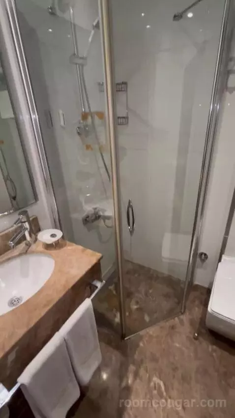 Standard Double or Twin Room bathroom picture #8