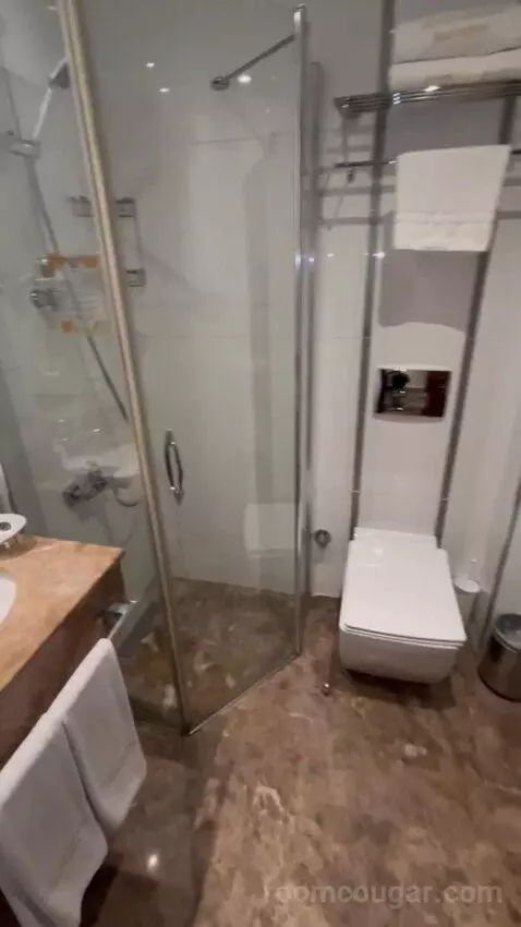 Standard Double or Twin Room bathroom picture #10