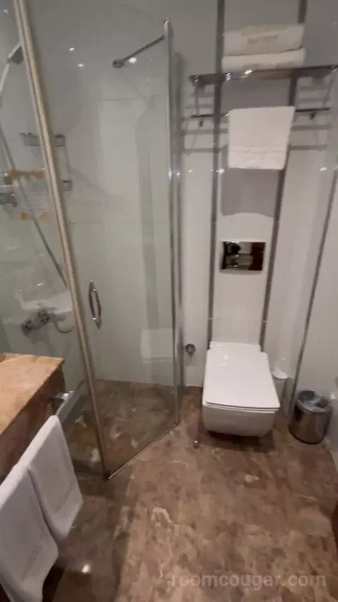 Standard Double or Twin Room bathroom picture #11