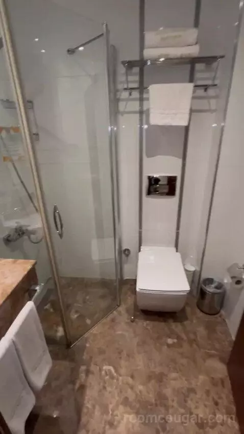 Standard Double or Twin Room bathroom picture #12