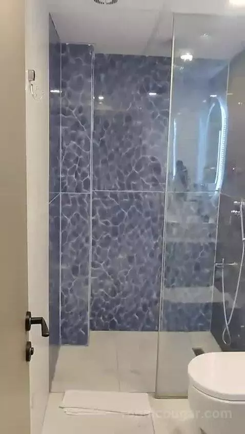 Double or Twin Room bathroom picture #4