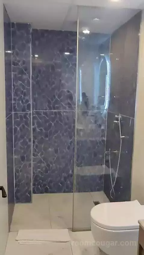 Double or Twin Room bathroom picture #6