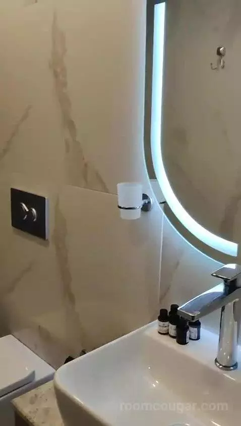 Double or Twin Room bathroom picture #10