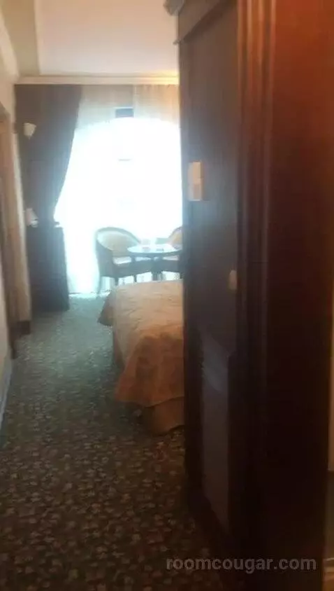 Deluxe Double Room bed picture #1