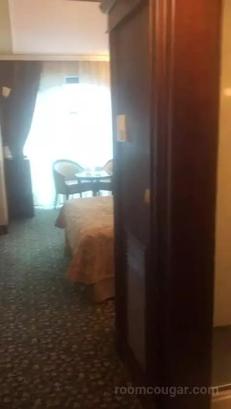Deluxe Double Room picture #2