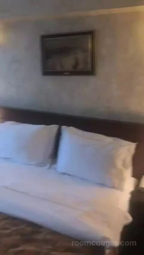 Deluxe Double Room bed picture #7