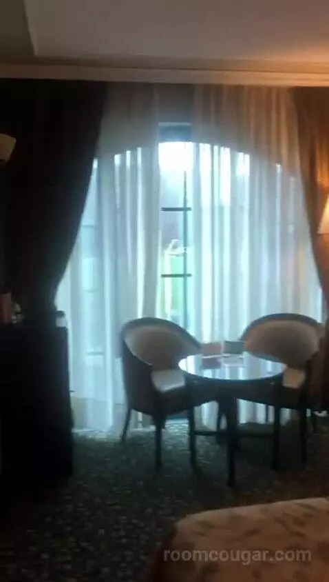 Deluxe Double Room picture #13
