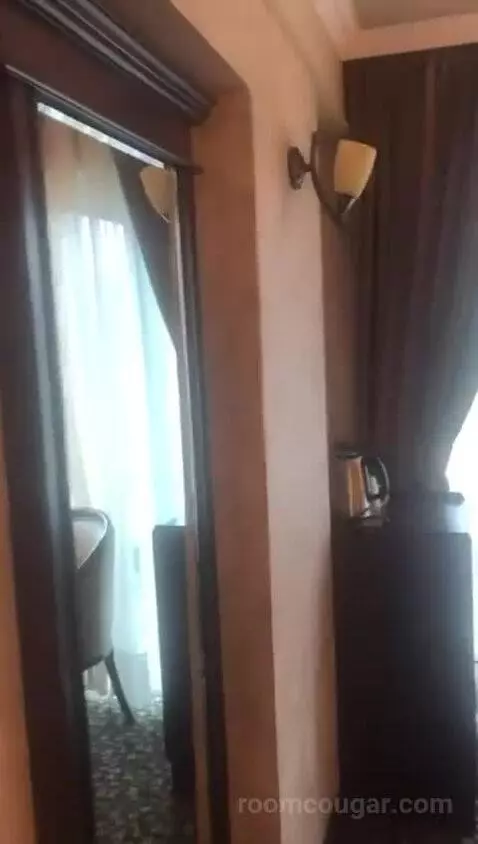 Deluxe Double Room picture #14