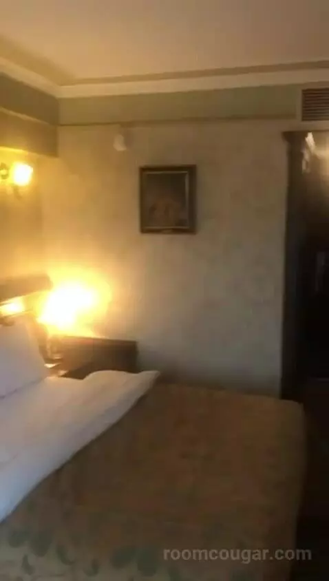 Deluxe Double Room bed picture #11