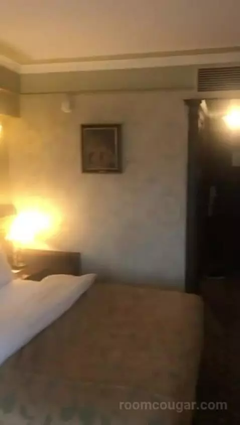 Deluxe Double Room picture #23