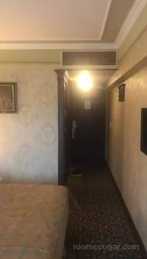 Deluxe Double Room picture #24