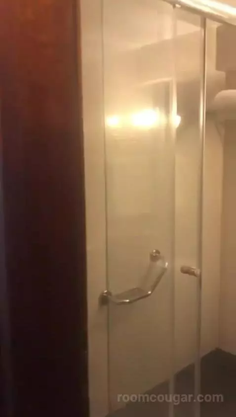Deluxe Double Room bathroom picture #1