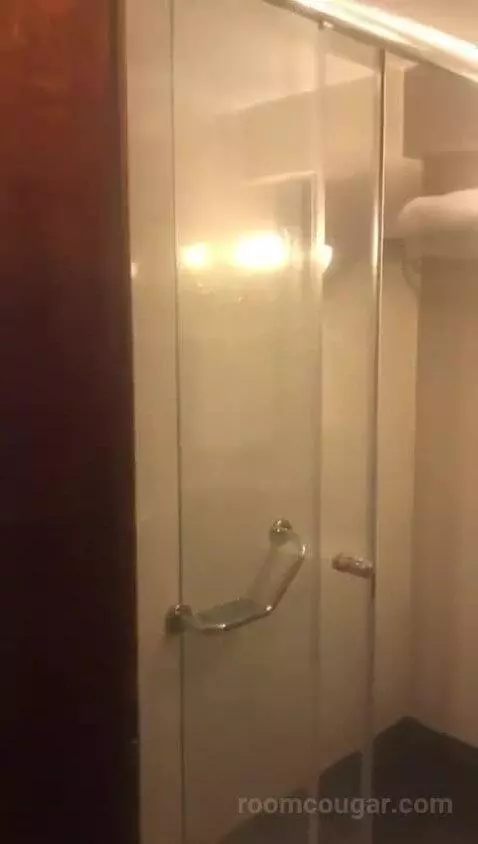 Deluxe Double Room bathroom picture #3