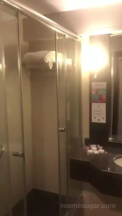 Deluxe Double Room bathroom picture #4