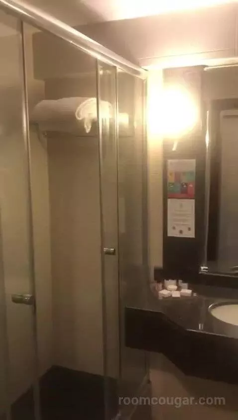 Deluxe Double Room bathroom picture #5