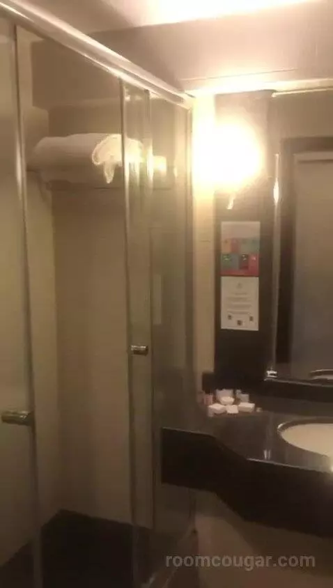 Deluxe Double Room bathroom picture #6
