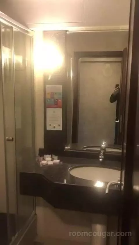 Deluxe Double Room bathroom picture #7